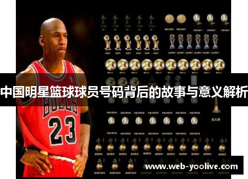 中国明星篮球球员号码背后的故事与意义解析