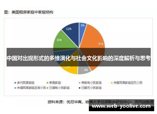 中国对出现形式的多维演化与社会文化影响的深度解析与思考